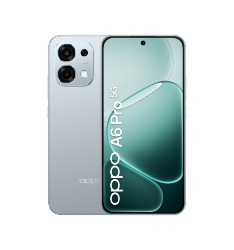 OPPO A6 Pro 5G 16,7 cm (6.57") Double SIM Android 15 USB Type-C 8 Go 256 Go 6500 mAh Titane