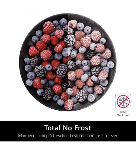 LG NatureFRESH GSBC40PYPE American Style Fridge Freezer - Prime Silver - E Rated