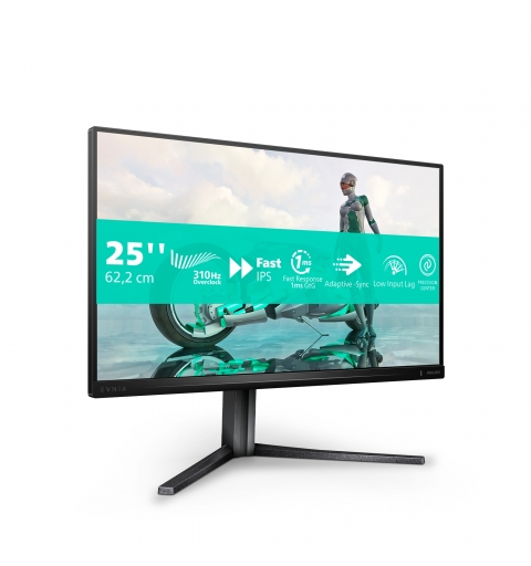 Philips Evnia 3000 25M2N3200U 00 pantalla para PC 62,2 cm (24.5") 1920 x 1080 Pixeles Full HD LCD Gris