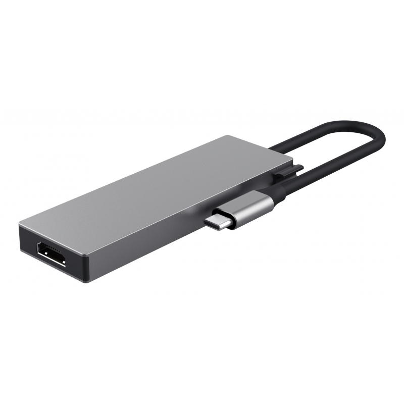 Trust 26062 hub de interfaz USB Tipo C Gris