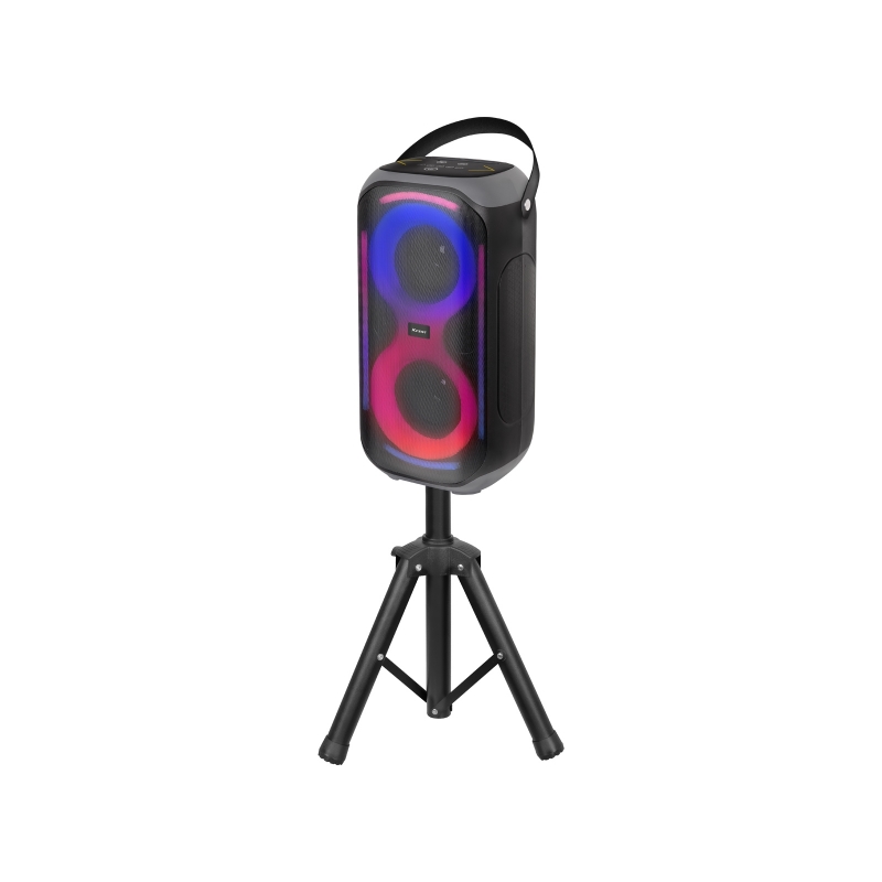 Trevi XFM 225 W Altavoz para fiestas Negro