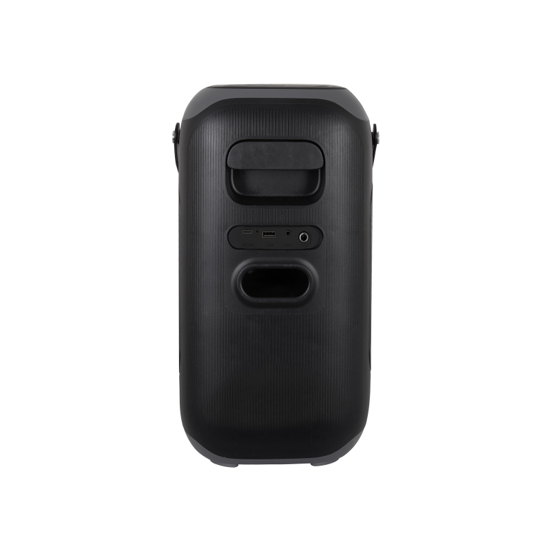 Trevi XFM 225 W Altavoz para fiestas Negro