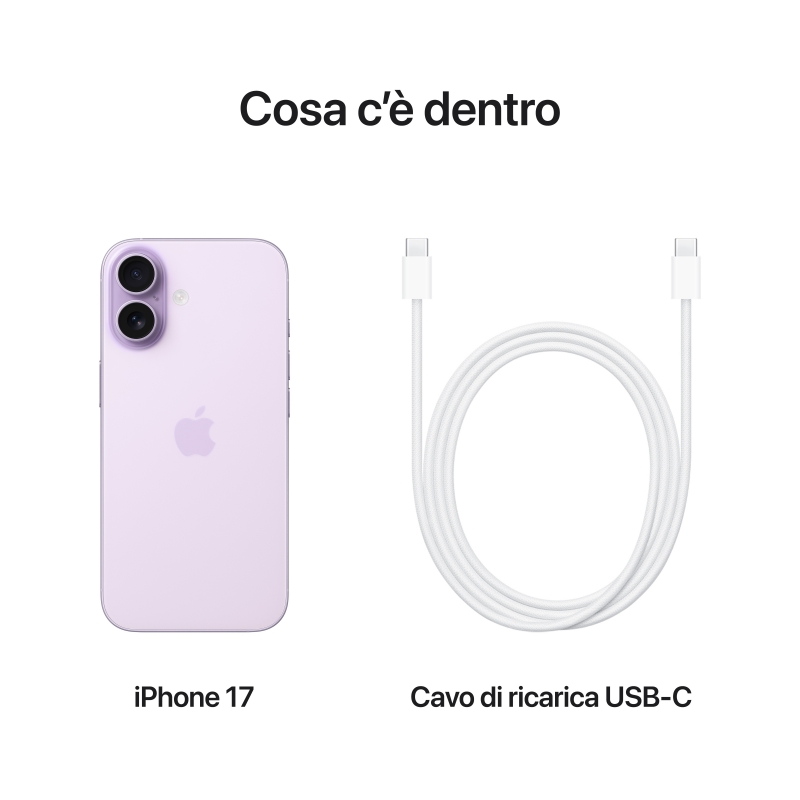 Apple iPhone 17 16 cm (6.3") SIM doble iOS 26 5G USB Tipo C 512 GB Lavanda