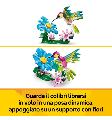 LEGO Creator Animaux sauvages le colibri coloré