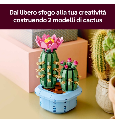 LEGO Botanicals Cactus fleuri