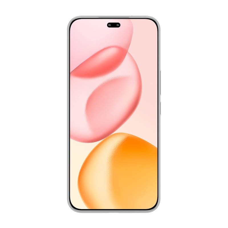 Honor 400 Pro 17 cm (6.7") MagicOS 9.0 5G 12 GB 512 GB 5300 mAh Gris