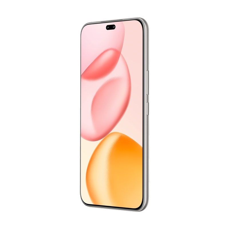 Honor 400 Pro 17 cm (6.7") MagicOS 9.0 5G 12 Go 512 Go 5300 mAh Gris