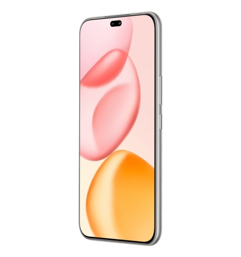 Honor 400 Pro 17 cm (6.7") MagicOS 9.0 5G 12 GB 512 GB 5300 mAh Gris