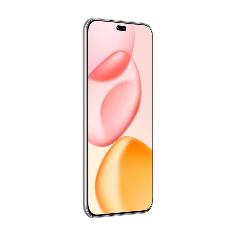 Honor 400 Pro 17 cm (6.7") MagicOS 9.0 5G 12 GB 512 GB 5300 mAh Grau