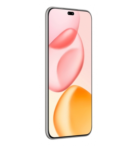 Honor 400 Pro 17 cm (6.7") MagicOS 9.0 5G 12 Go 512 Go 5300 mAh Gris