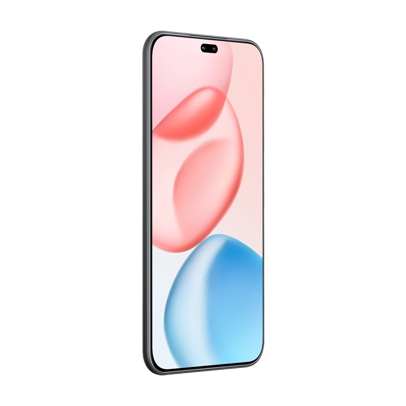 Honor 400 Pro 17 cm (6.7") MagicOS 9.0 5G 12 Go 512 Go 5300 mAh Noir