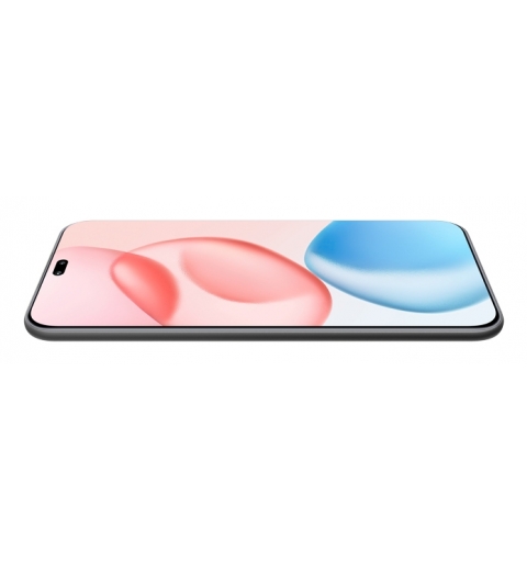 Honor 400 Pro 17 cm (6.7") MagicOS 9.0 5G 12 Go 512 Go 5300 mAh Noir