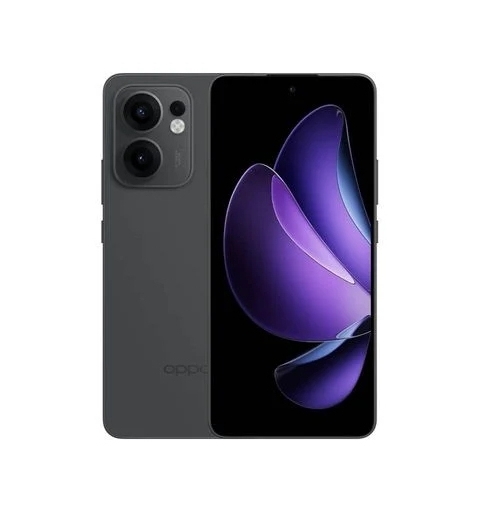 OPPO 13 F 5G 16,9 cm (6.67") Dual-SIM Android 15 USB Typ-C 8 GB 256 GB 5800 mAh Granit, Grau