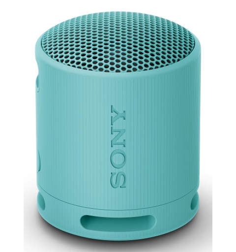 Sony SRS-XB100 Enceinte portable mono Bleu