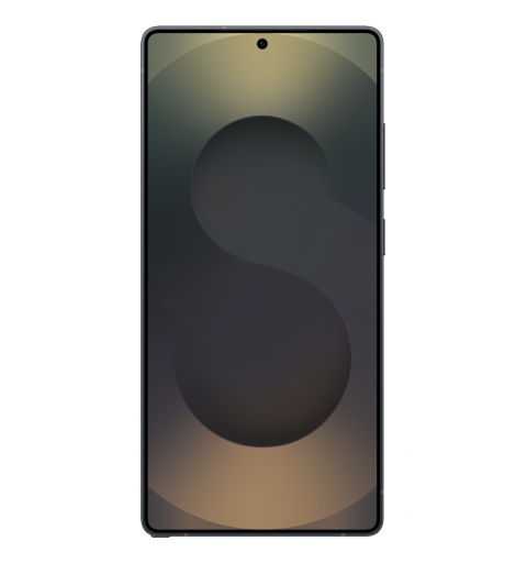 Samsung Galaxy S25 Ultra SM-S938B DS 17.5 cm (6.9") Dual SIM Android 15 5G USB Type-C 12 GB 256 GB 5000 mAh Black, Titanium