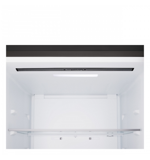 LG GBBSJ10DEP Pose libre 333 L Noir