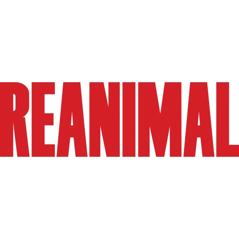 THQ Nordic Reanimal - Deluxe Edition