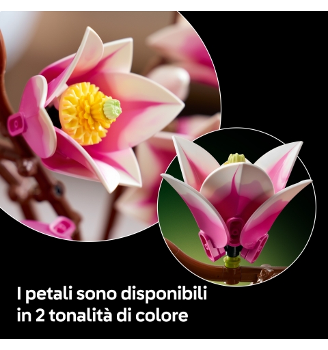 LEGO Botanicals Branches de magnolia