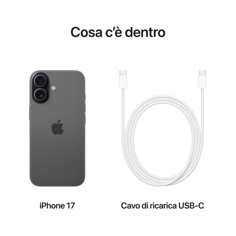 Apple iPhone 17 16 cm (6.3") SIM doble iOS 26 5G USB Tipo C 512 GB Negro
