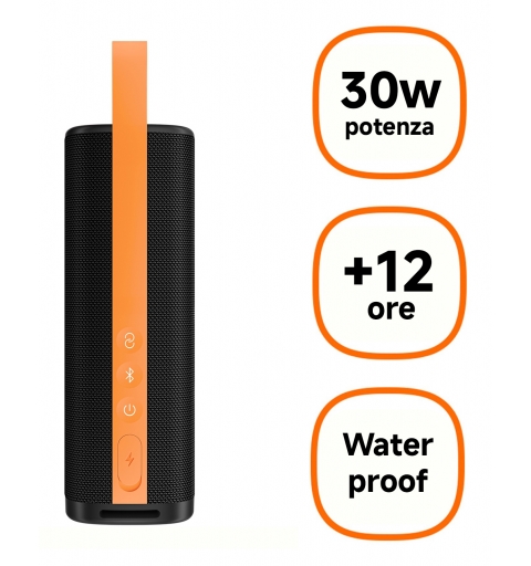 Xiaomi QBH4261GL altavoz portátil o de fiesta Altavoz portátil estéreo Negro 30 W