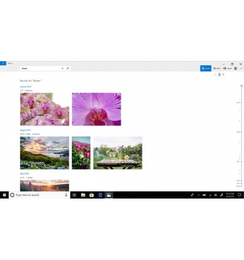 Microsoft Windows 10 Home 1 licence(s)