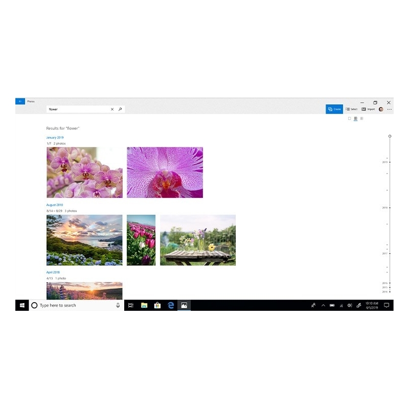 Microsoft Windows 10 Home 1 license(s)