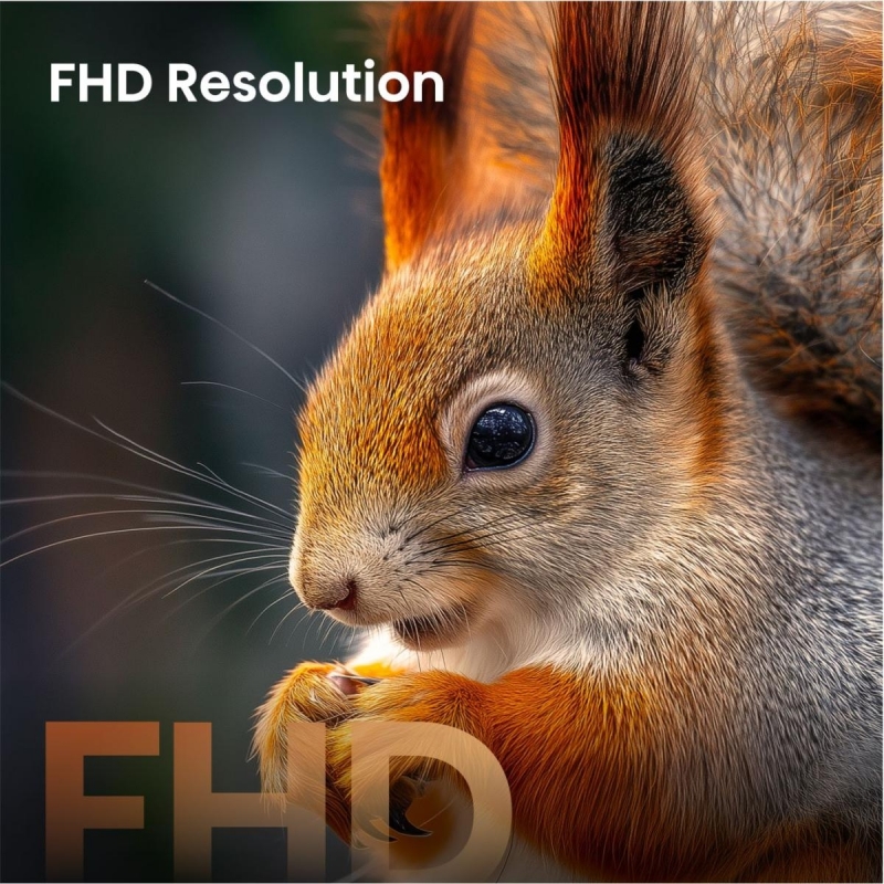 Hisense 32A59S 81,3 cm (32") Full HD Smart TV Wifi Negro