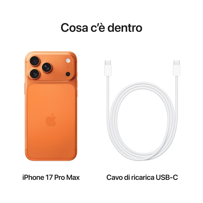 Apple iPhone 17 Pro Max 17,5 cm (6.9") Dual-SIM iOS 26 5G USB Typ-C 256 GB Orange