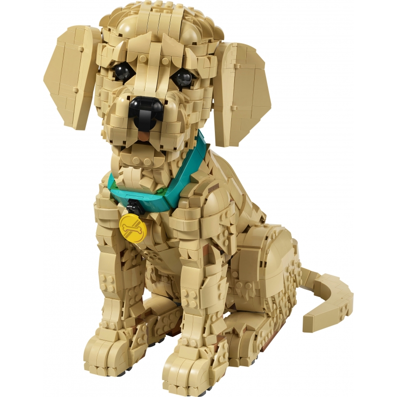 LEGO ICONS Cachorro de Golden Retriever