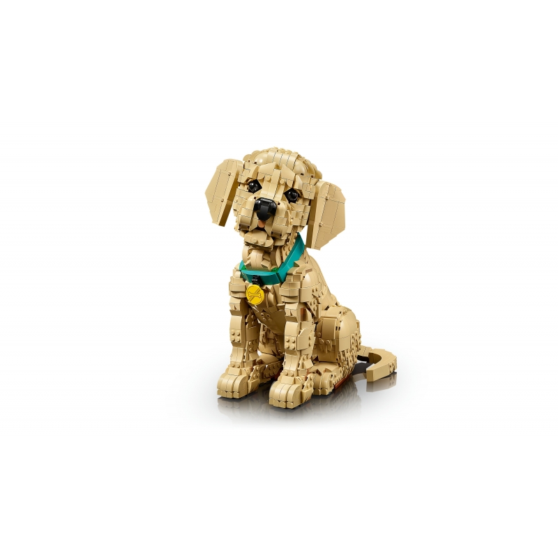 LEGO ICONS Le chiot Golden Retriever