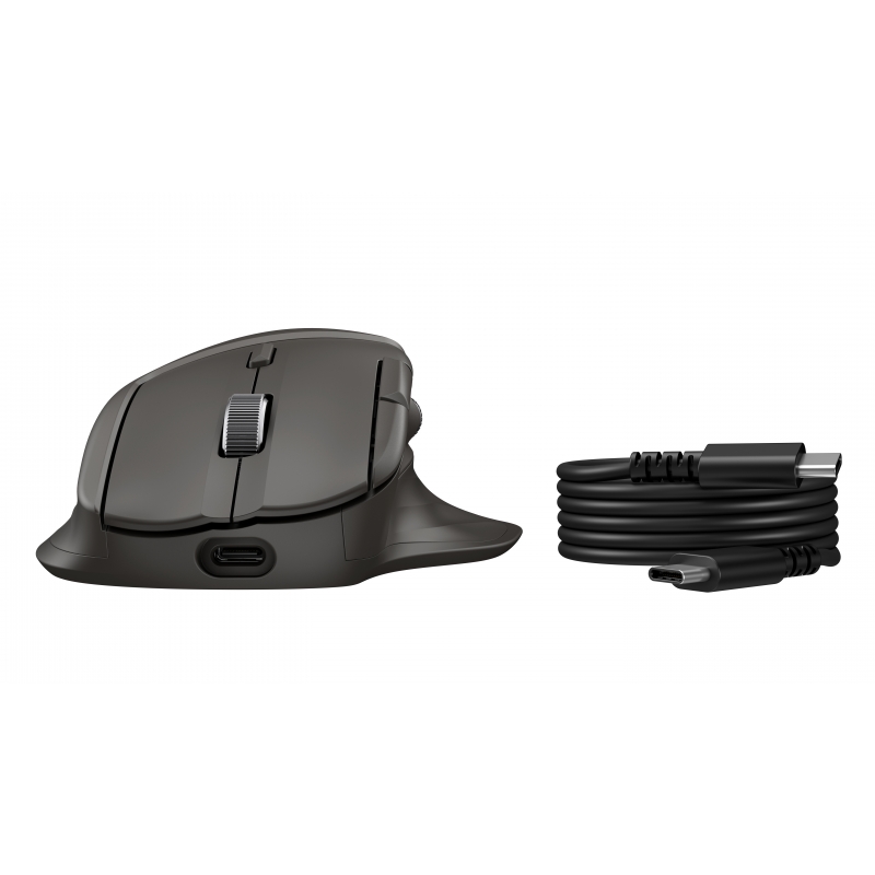 HP Ratón inalámbrico de desplazamiento ultrarrápido 785M