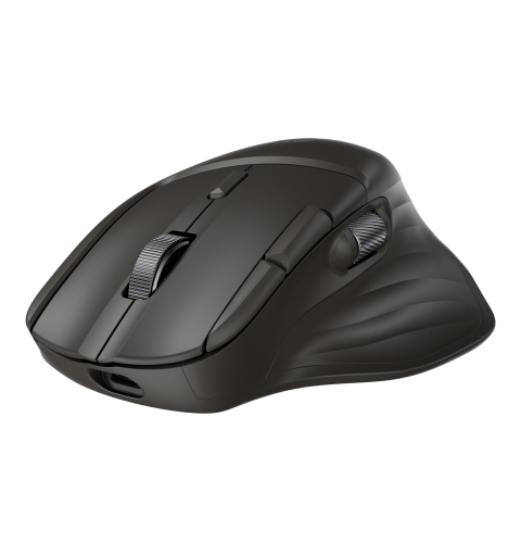 HP Ultra-Fast-Scroll Wireless Mouse 785M