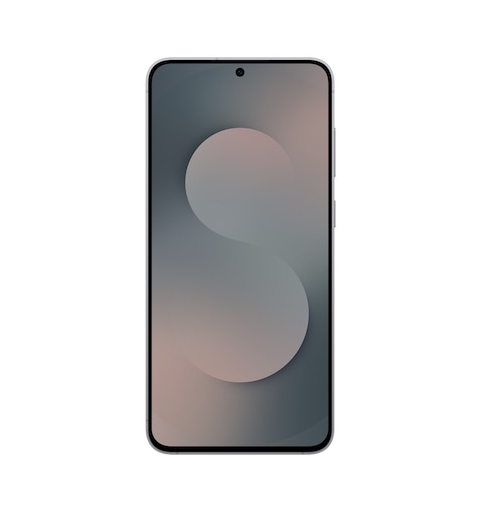 Samsung Galaxy S25 FE Enterprise Edition 17 cm (6.7") Dual SIM Android 16.0 5G USB Type-C 8 GB 128 GB 4900 mAh Black