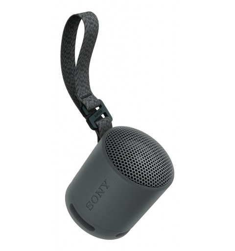 Sony SRS-XB100 Enceinte portable mono Noir