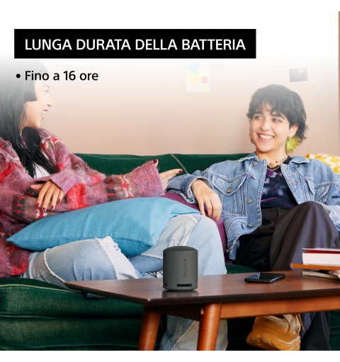 Sony SRS-XB100 Enceinte portable mono Noir