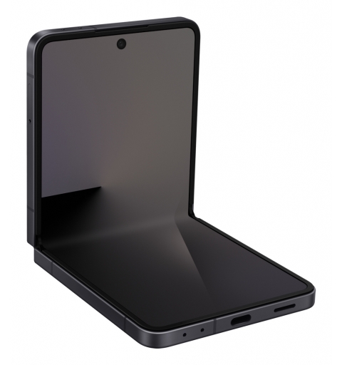 Samsung SM-F766BZKHEUB smartphones 17,5 cm (6.9") SIM doble 5G USB Tipo C 12 GB 512 GB 4300 mAh Negro