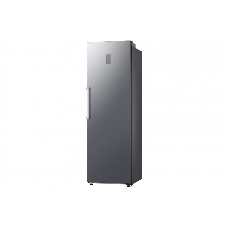 Samsung RR70H39CCTEF frigorífico Independiente 387 L Plata