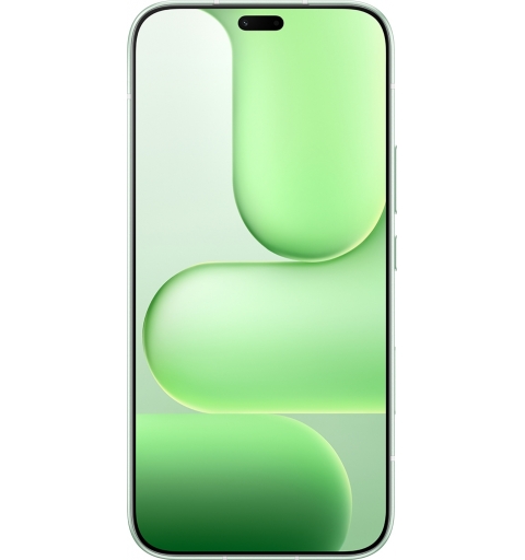Honor 600 Lite 16,8 cm (6.6") Doppia SIM Android 16.0 5G USB tipo-C 8 GB 256 GB 6520 mAh Verde