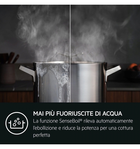 AEG TI64IB30IZ Negro Integrado 60 cm Con placa de inducción 4 zona(s)