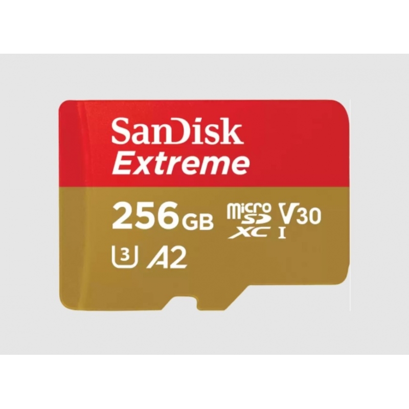 SanDisk Extreme 256 GB MicroSDXC UHS-I Classe 3 SanDisk Extreme 256 GB MicroSDXC UHS-I Classe 3