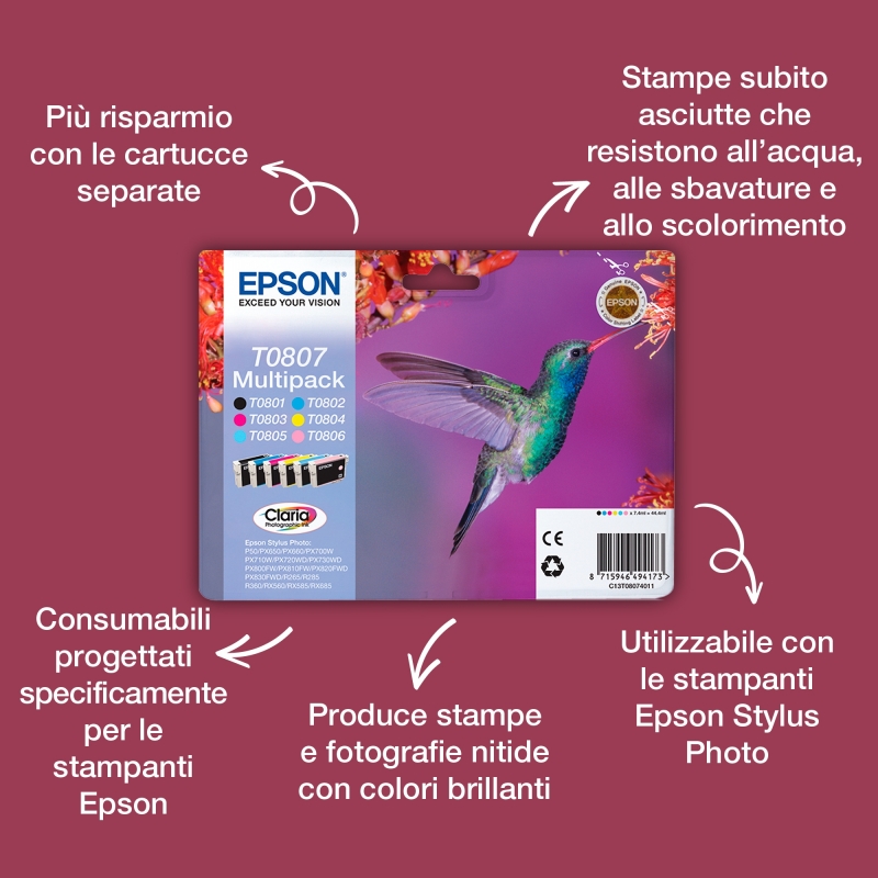 Epson Hummingbird Cartucho T0801 negro