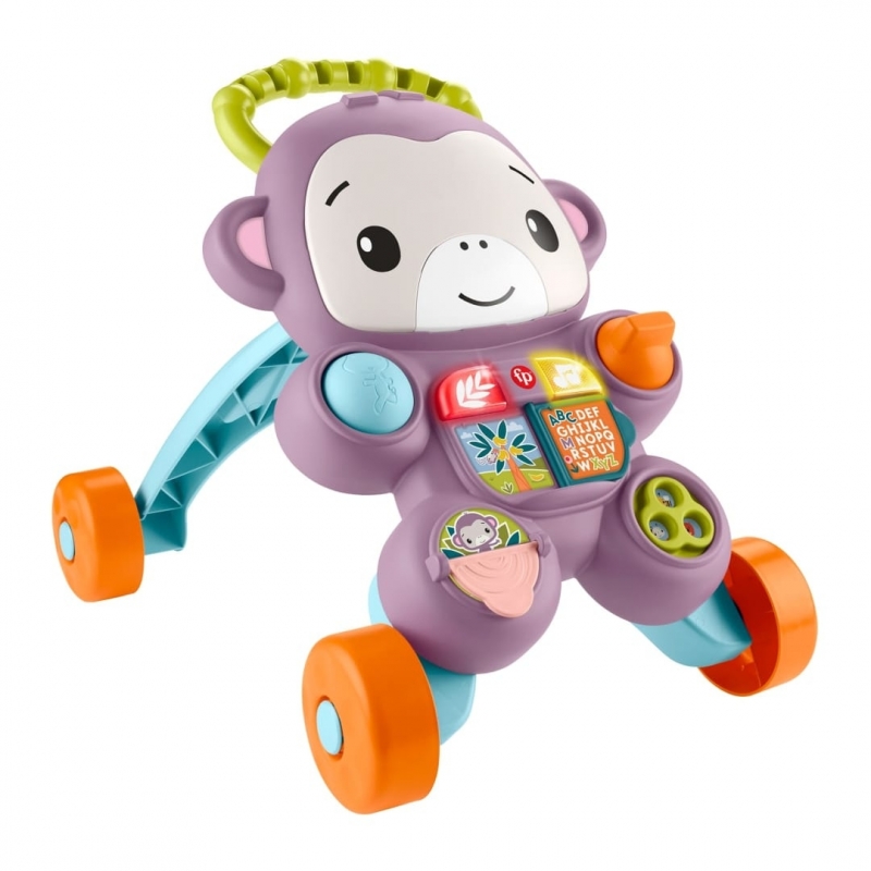 Fisher-Price JGW91 andador Multicolor