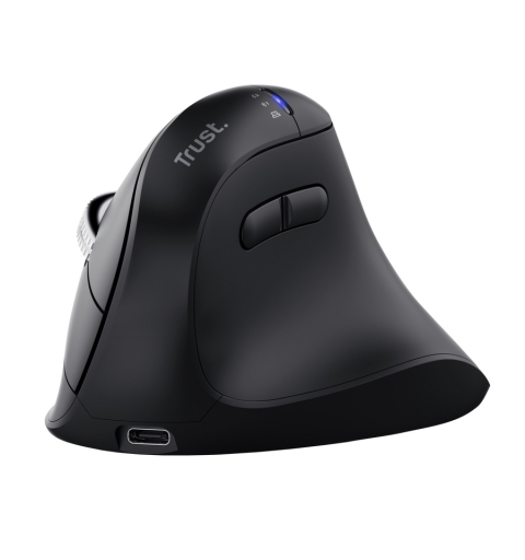 Trust Vyran Maus Universal Rechts RF Wireless + Bluetooth Optisch 4800 DPI
