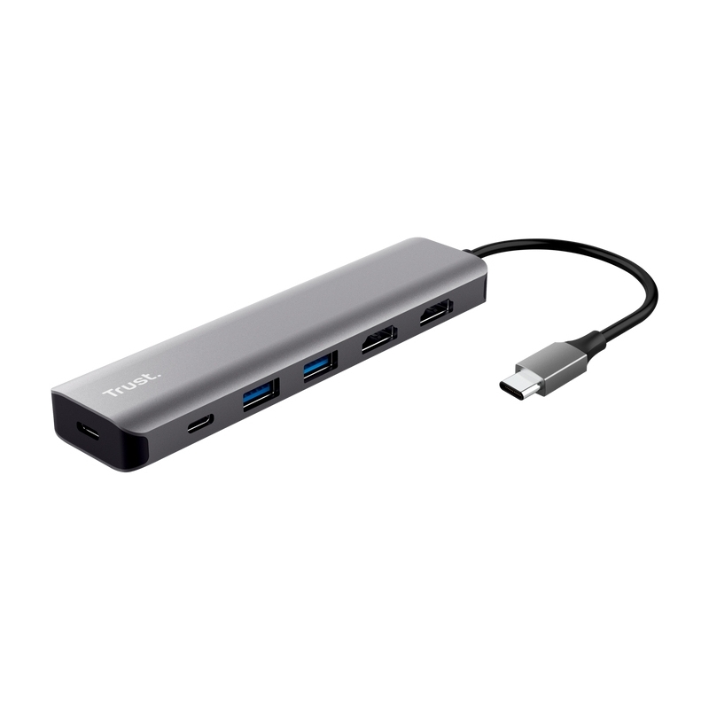 Trust Dalyx Avec fil USB 3.2 Gen 1 (3.1 Gen 1) Type-C Gris