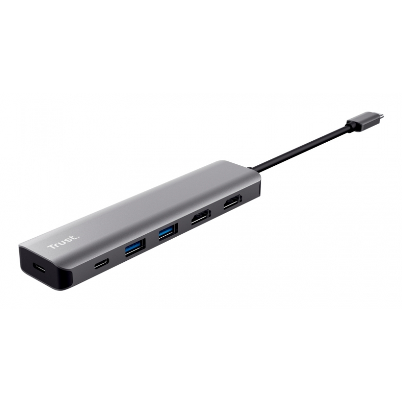 Trust Dalyx Avec fil USB 3.2 Gen 1 (3.1 Gen 1) Type-C Gris