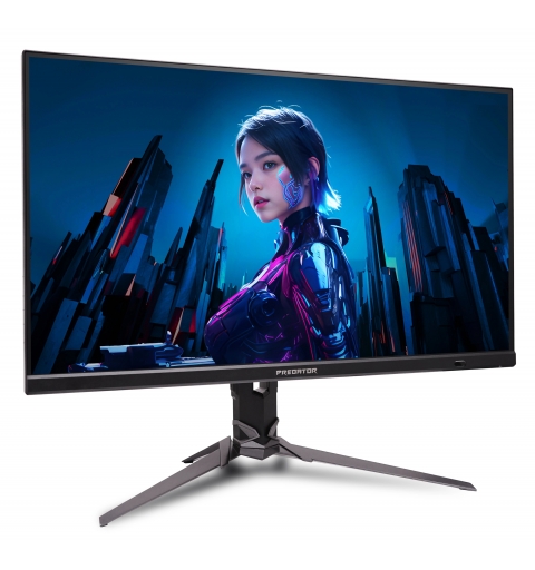Acer UM.HX3EE.219 pantalla para PC