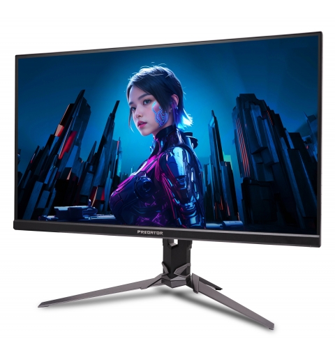 Acer UM.HX3EE.219 Computerbildschirm