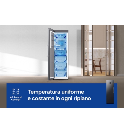Samsung RZ70H32HDFEF congélateur Congélateur vertical Pose libre 323 L Noir