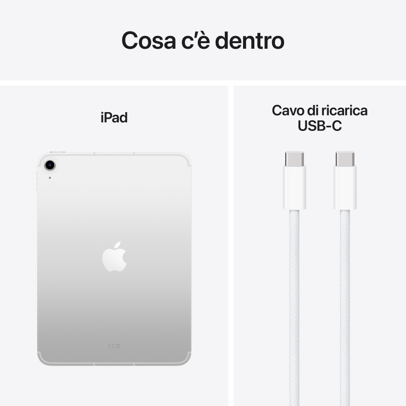 Apple iPad 5G LTE-TDD & LTE-FDD 256 GB 27,9 cm (11") Wi-Fi 6 (802.11ax) iPadOS 18 Plata
