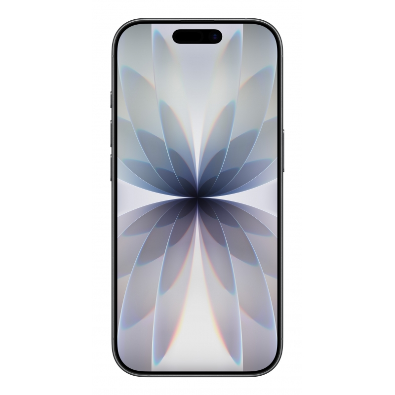 Apple iPhone 17 16 cm (6.3") Dual-SIM iOS 26 5G USB Typ-C 512 GB Schwarz